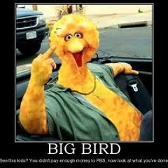 Big Bird 78