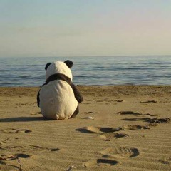 LonelyPanda