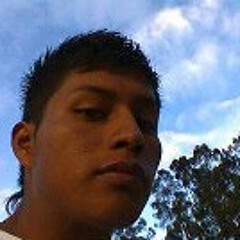 Edwin Gatito Evolution