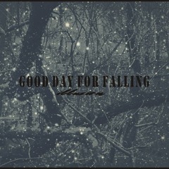 Good Day For Falling