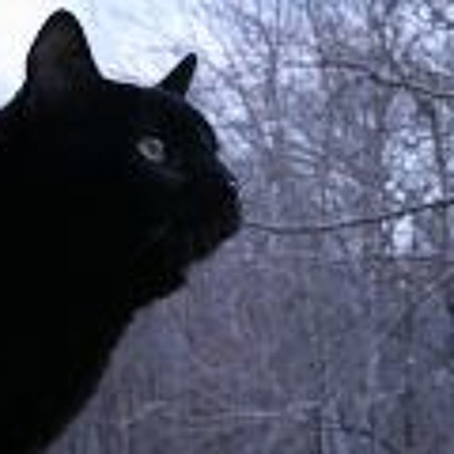 Nader Cabezas   Escaleras (En Vivo)