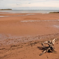 CKieran