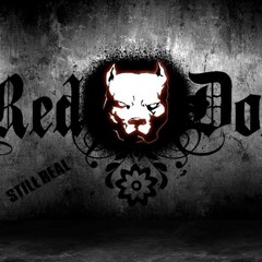 REDD by REDDOG.