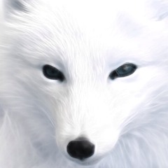 ShiroKitsune