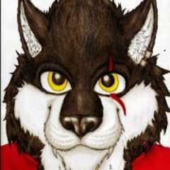 Rafael Gonzalez Alfaro