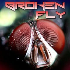 BrokenFly