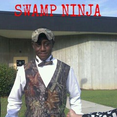swamp-ninja22