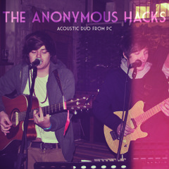 The Anonymous Hacks