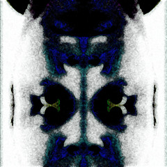 Hallucinated Neighbour