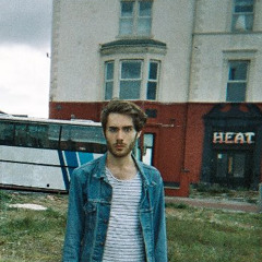 Badly Stuffed Bluejay