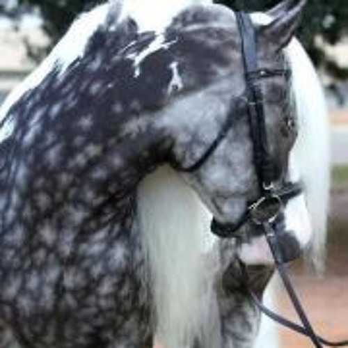 Basement Jaxx- Do Your Thing