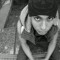 seff il cat