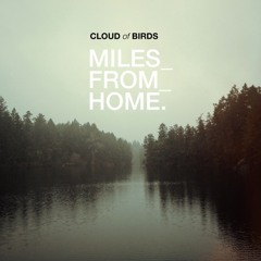 cloud of birds