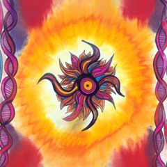 The Transmissions Project