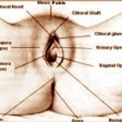 Patric Gylebrandt-Gregard