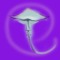 mushroom_killer