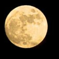 Du'Shawn Williams Barbour