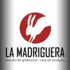 Lamadriguera Estudio