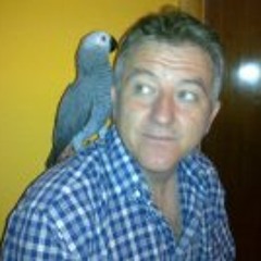 Lemon - Suzie Q (Nick Hollywood Remix)