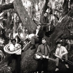 New Orleans Swamp Donkeys