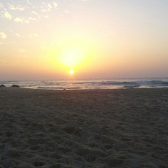 אריאל זילבר