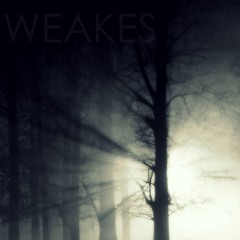 Weakes