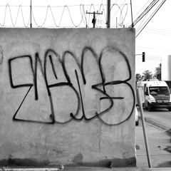 .VVNSS.