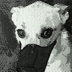 jolojosolo