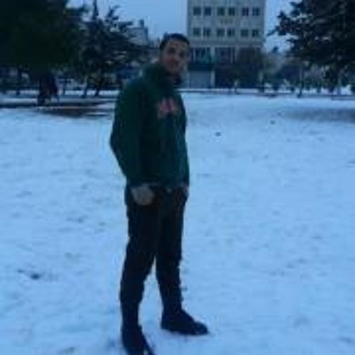 Majed Helmy’s avatar