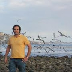 Reza Rahimi 5