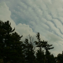 SharedValueSolutions