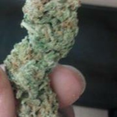 Brandon Suckaducka Kier