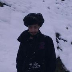 Sina Ershadi