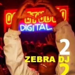 Zebradj Enzo Jorge