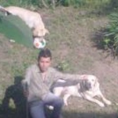 Cesar Bernal Gmid