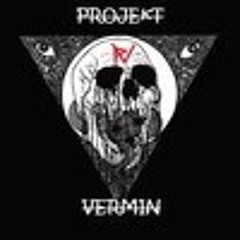 Projekt Vermin