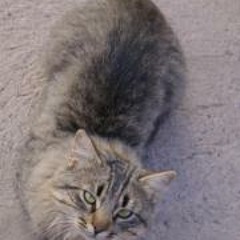 David Sandoval Quintana