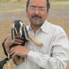 Rajesh Chouhan