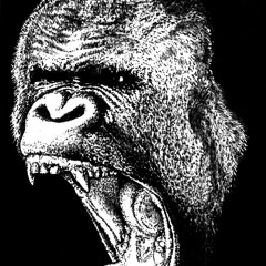 RawNoiseApes