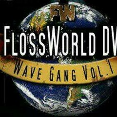 FLOSS WOLD DVD