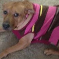 Kathleen Sides Donlon