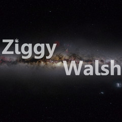 Ziggy Walsh
