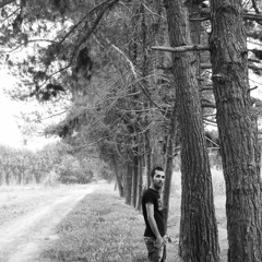 amir tattalo hese mamoli ???