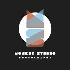 MonkeyStereo