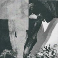 Timo Degeneriert