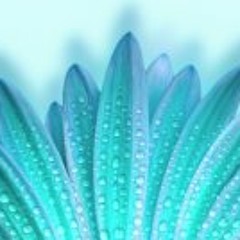 Nur Anis Syafawani Bujang