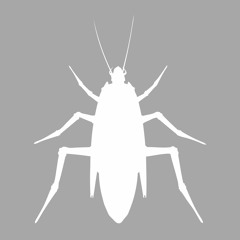 Kader Japoni & Rim-K - Manich D'accord