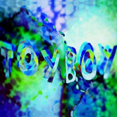 Toy boy