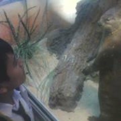 Bryan Chrisatya Diass