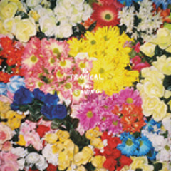 IS TROPICAL - Dancing Anymore (DID - Bad Boys Remix)